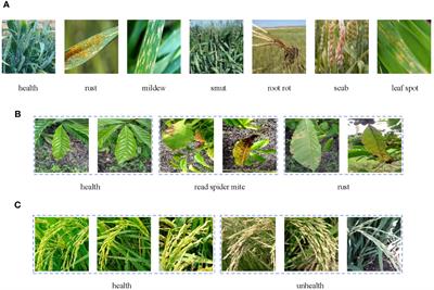 PMVT: a lightweight vision transformer for plant disease identification on mobile devices